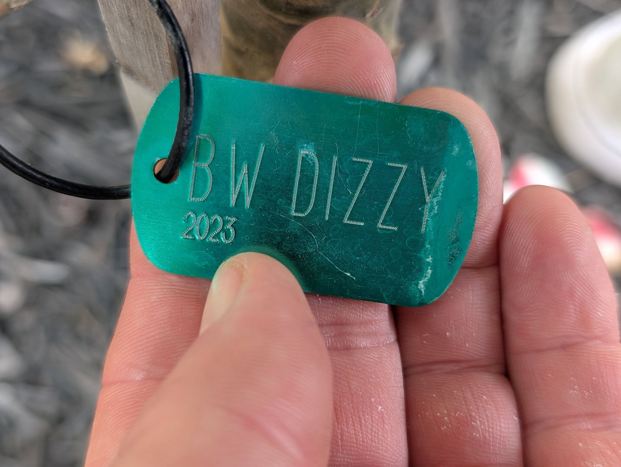 Turquoise BW Dizzy cultivar label dated 2023